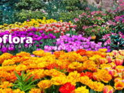 Expoflora 2022; maior Exposição de Flores da América Latina – veja atrações; ingressos