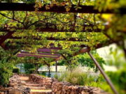 São Roque entra na rota do vinho e do turismo gastronômico com bons restaurantes portugueses e italianos São Roque entra na rota do vinho e do turismo gastronômico com bons restaurantes portugueses e italianos