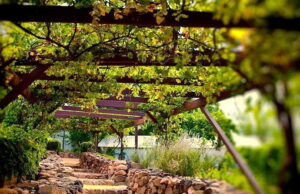 São Roque entra na rota do vinho e do turismo gastronômico com bons restaurantes portugueses e italianos São Roque entra na rota do vinho e do turismo gastronômico com bons restaurantes portugueses e italianos