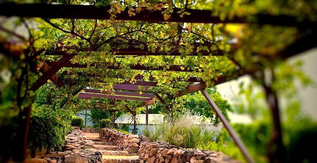 São Roque entra na rota do vinho e do turismo gastronômico com bons restaurantes portugueses e italianos