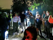 Mata de Santa Genebra Campinas está com inscrições para caminhada noturna Mata de Santa Genebra Campinas está com inscrições para caminhada noturna