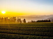 Fenômeno da Antártida deixa temperaturas mais altas em pleno inverno Fenômeno da Antártida deixa temperaturas mais altas em pleno inverno
