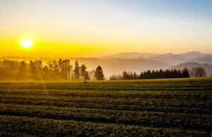 Fenômeno da Antártida deixa temperaturas mais altas em pleno inverno Fenômeno da Antártida deixa temperaturas mais altas em pleno inverno
