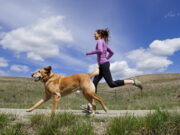 Pesquisa mostra que cães são os grandes aliados na pratica de esportes Pesquisa mostra que cães são os grandes aliados na pratica de esportes