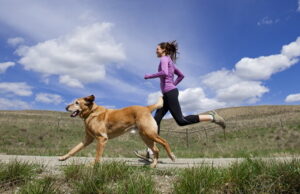 Pesquisa mostra que cães são os grandes aliados na pratica de esportes Pesquisa mostra que cães são os grandes aliados na pratica de esportes