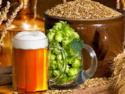 Rota da Cerveja Artesanal passa a ser destino turístico em Santos Rota da Cerveja Artesanal passa a ser destino turístico em Santos