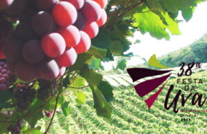 Festa da Uva Jundiaí 2023 acontecerá em quatro finais de semana; veja datas Festa da Uva 2023 de Jundiaí acontecerá em quatro finais de semana