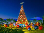 Programação de Natal de Amparo terá iluminação especial e apresentações musicais Programação de Natal de Amparo terá iluminação especial e apresentações musicais