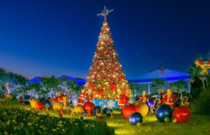 Programação de Natal de Amparo terá iluminação especial e apresentações musicais Programação de Natal de Amparo terá iluminação especial e apresentações musicais