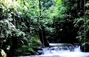 Turismo SP em Tapiraí : natureza, cachoeiras, ecoturismo e hospitalidade; saiba mais