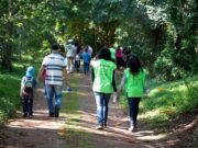 Mata de Santa Genebra Campinas abre inscrição para mutirão de ação voluntária; veja como participar