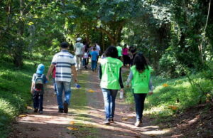 Mata de Santa Genebra Campinas abre inscrição para mutirão de ação voluntária; veja como participar