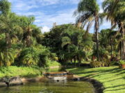 Conheça o Circuito das Frutas SP; Turismo em Jundiaí ; saiba mais