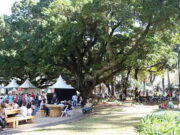 Festival gastronômico reúne restaurantes e cervejarias de Campinas com cardápio até R$ 45,00 Festival gastronômico reúne restaurantes e cervejarias de Campinas com cardápio até R$ 45,00