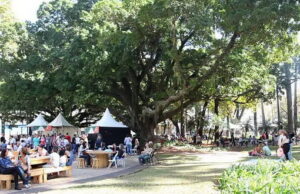 Festival gastronômico reúne restaurantes e cervejarias de Campinas com cardápio até R$ 45,00 Festival gastronômico reúne restaurantes e cervejarias de Campinas com cardápio até R$ 45,00