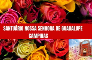 Sinfônica de Campinas se apresenta no Santuário Nossa Senhora de Guadalupe; entrada solidária