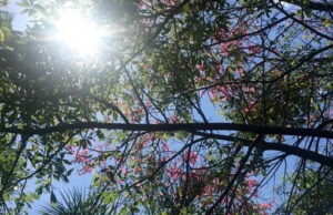 Previsão do tempo para o mês de setembro na região de Campinas Veja como fica a previsão do tempo para o mês de setembro na região de Campinas