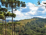 Conheça as 15 cidades mais altas do Brasil, um convite a natureza Conheça as 15 cidades mais altas do Brasil, um convite a natureza