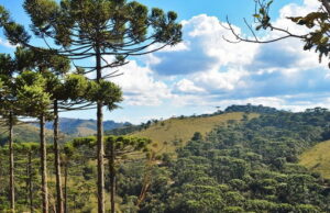 Conheça as 15 cidades mais altas do Brasil, um convite a natureza Conheça as 15 cidades mais altas do Brasil, um convite a natureza