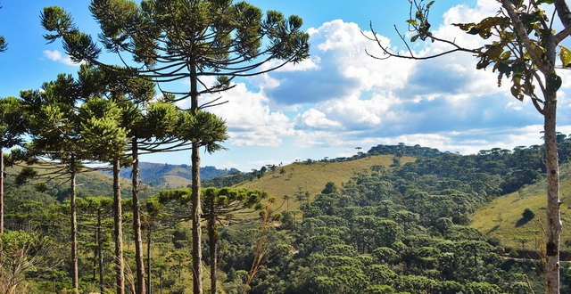 Conheça as 15 cidades mais altas do Brasil, um convite a natureza