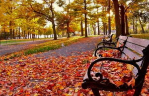 Outono começa nesta semana colocando fim as ondas de calor Outono começa nesta semana colocando fim as ondas de calor