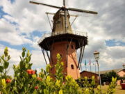 Expoflora 2024, festa das flores de Holambra chega à 41ª edição Expoflora 2024, festa das flores de Holambra chega à 41ª edição