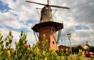 Expoflora 2024, festa das flores de Holambra chega à 41ª edição Expoflora 2024, festa das flores de Holambra chega à 41ª edição