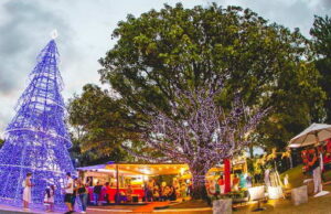 Cidade de Natal em Belo Horizonte 2024, a magia das luzes no Parque do Palácio Cidade de Natal em Belo Horizonte 2024, a magia das luzes no Parque do Palácio
