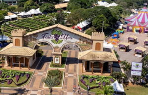 Festa da Uva e Festa do Vinho em vinhedo 2026; veja as atrações Festa da Uva e Festa do Vinho em vinhedo 2026; veja as atrações