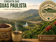 Cafés do Circuito das Águas Paulista conquistam selo de Indicação Geográfica Cafés do Circuito das Águas Paulista conquistam selo de Indicação Geográfica