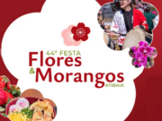 Festa de Flores e Morangos de Atibaia 2026 tem gastronomia; tradição japonesa; programação especial