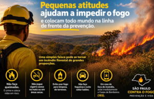 Protegido: Governo de SP amplia ações de prevenção a incêndios e reforça alerta à população Governo de SP amplia ações de prevenção a incêndios e reforça alerta à população